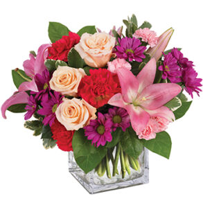 Enchanted Garden - Flowers for Everyone - February Birth Flower