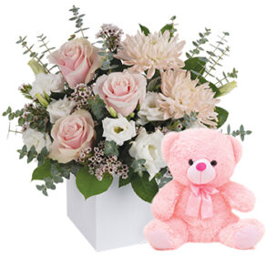 It's a Girl with Teddy - Flowers for New Mum and Baby Girl
