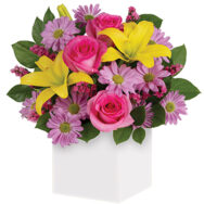 Serenade - Birthday Flowers in a Box
